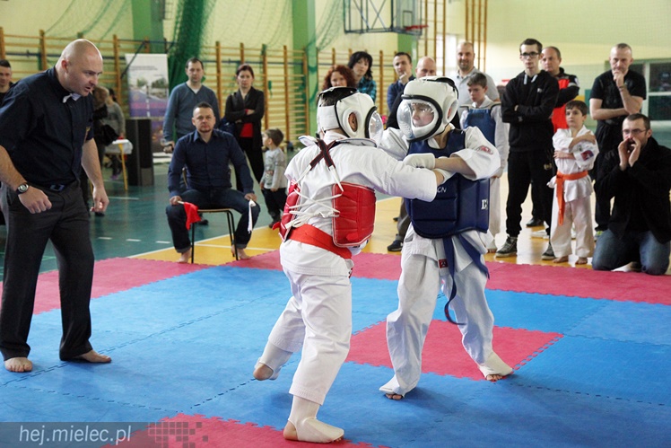Finał Podkarpackiej Ligi Dzieci i Młodzieży Karate Shinkyokushin