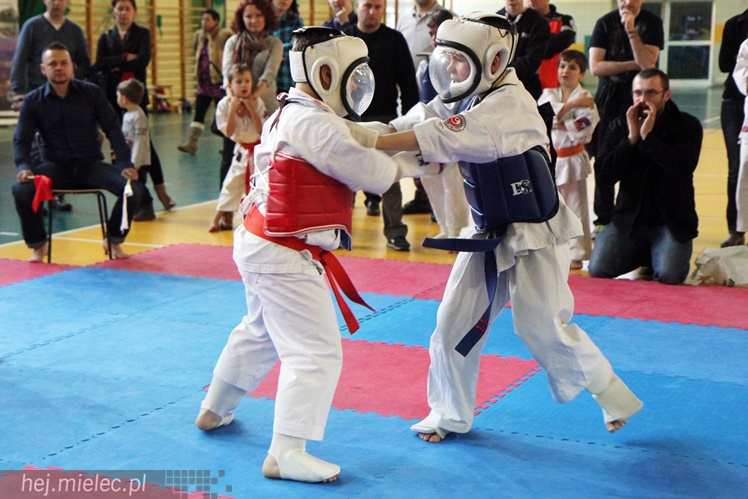 Finał Podkarpackiej Ligi Dzieci i Młodzieży Karate Shinkyokushin