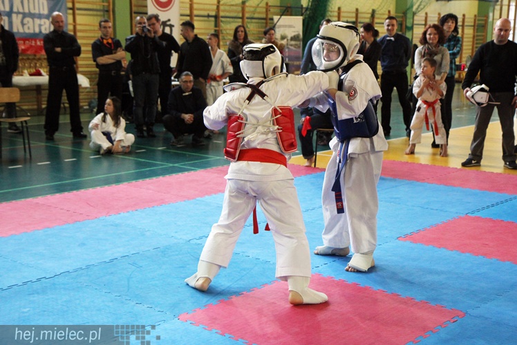 Finał Podkarpackiej Ligi Dzieci i Młodzieży Karate Shinkyokushin