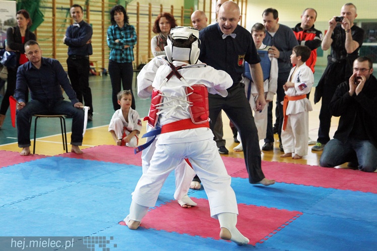Finał Podkarpackiej Ligi Dzieci i Młodzieży Karate Shinkyokushin