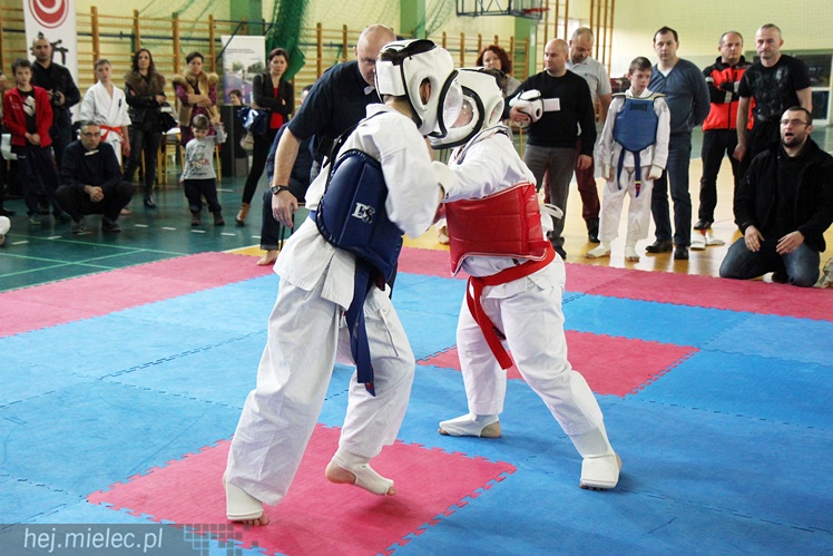 Finał Podkarpackiej Ligi Dzieci i Młodzieży Karate Shinkyokushin