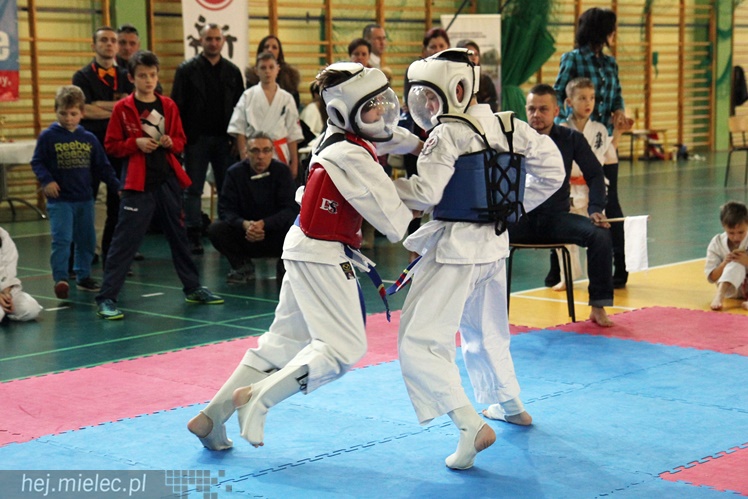 Finał Podkarpackiej Ligi Dzieci i Młodzieży Karate Shinkyokushin