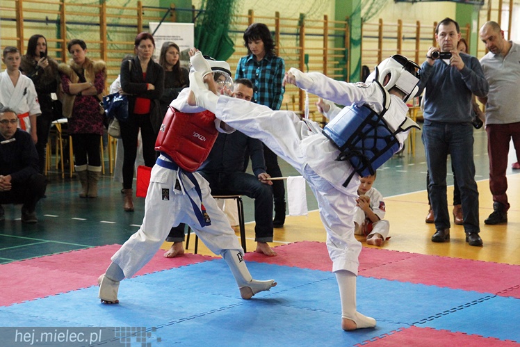 Finał Podkarpackiej Ligi Dzieci i Młodzieży Karate Shinkyokushin
