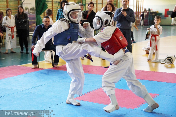 Finał Podkarpackiej Ligi Dzieci i Młodzieży Karate Shinkyokushin