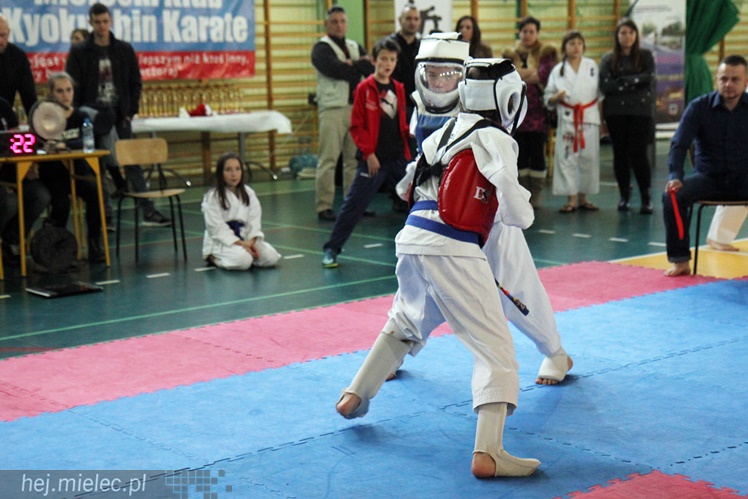 Finał Podkarpackiej Ligi Dzieci i Młodzieży Karate Shinkyokushin