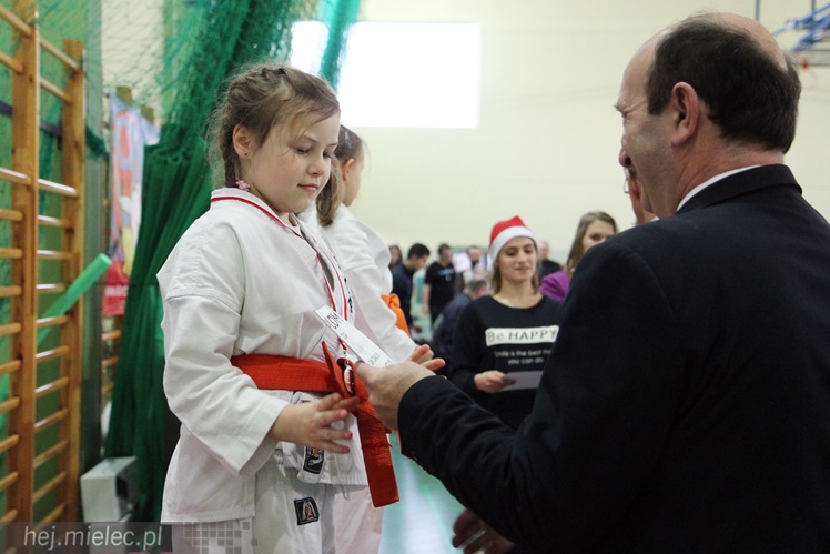 Finał Podkarpackiej Ligi Dzieci i Młodzieży Karate Shinkyokushin