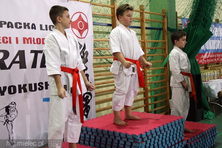 Finał Podkarpackiej Ligi Dzieci i Młodzieży Karate Shinkyokushin