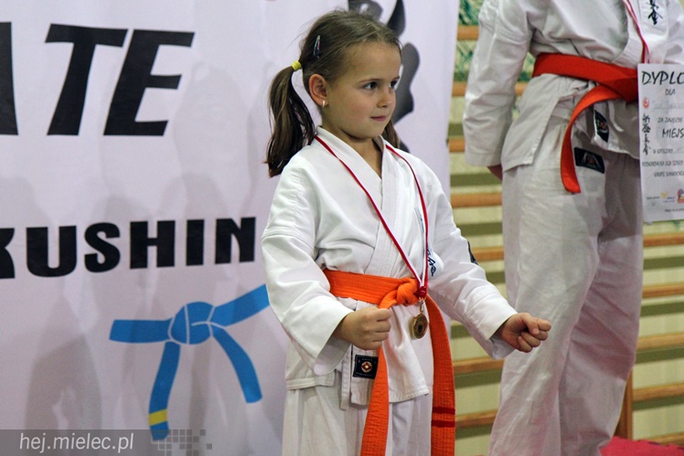 Finał Podkarpackiej Ligi Dzieci i Młodzieży Karate Shinkyokushin