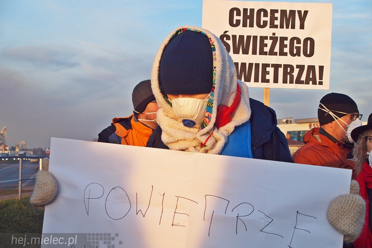 Kilkadziesiąt osób protestowało przeciwko zatruwania powietrza w Mielcu