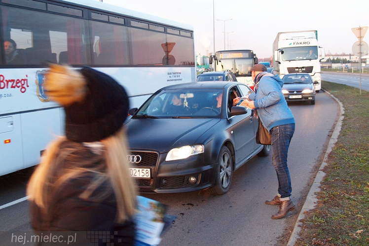 Kilkadziesiąt osób protestowało przeciwko zatruwania powietrza w Mielcu