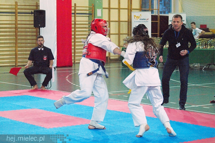 Międzynarodowa obsada mistrzostw karate full-contact