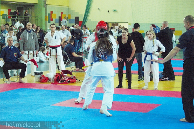Międzynarodowa obsada mistrzostw karate full-contact
