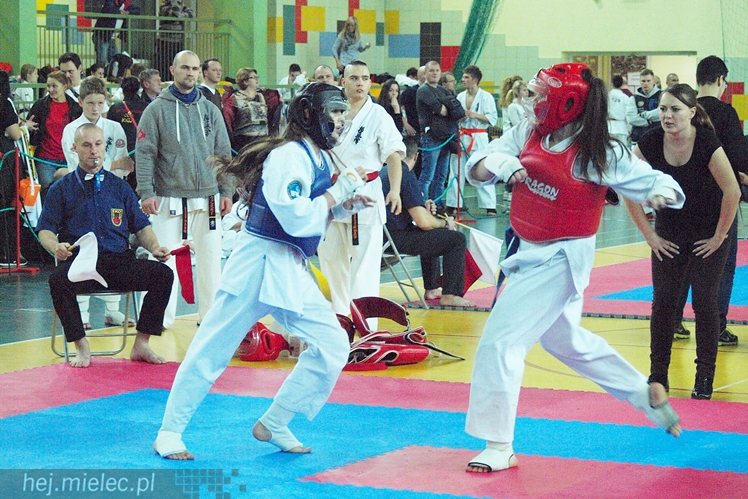 Międzynarodowa obsada mistrzostw karate full-contact