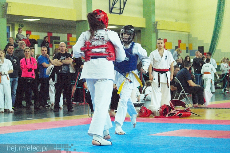 Międzynarodowa obsada mistrzostw karate full-contact