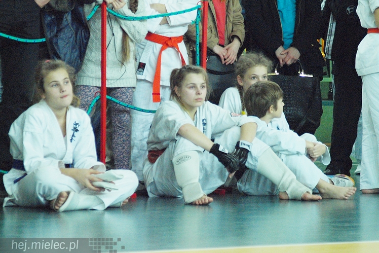 Międzynarodowa obsada mistrzostw karate full-contact