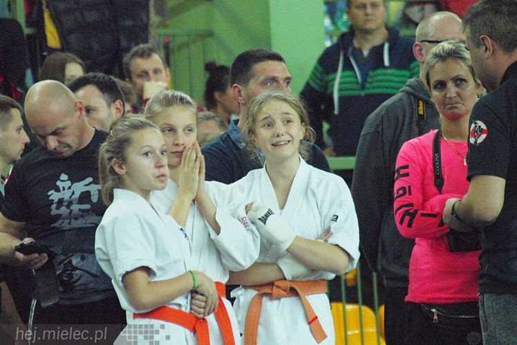 Międzynarodowa obsada mistrzostw karate full-contact