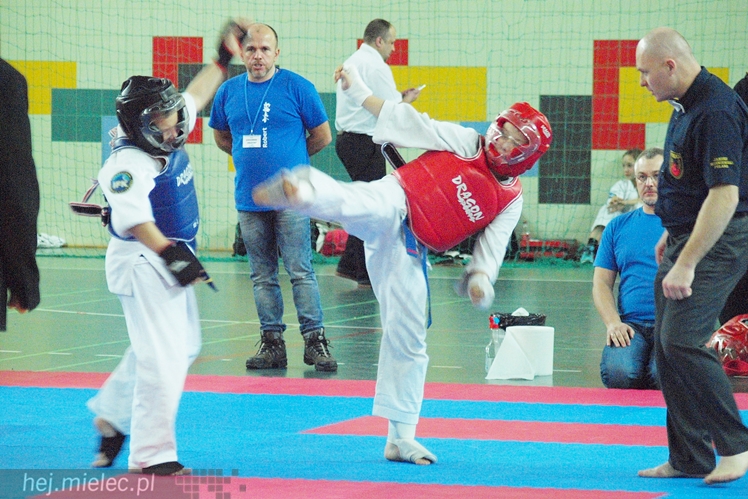 Międzynarodowa obsada mistrzostw karate full-contact