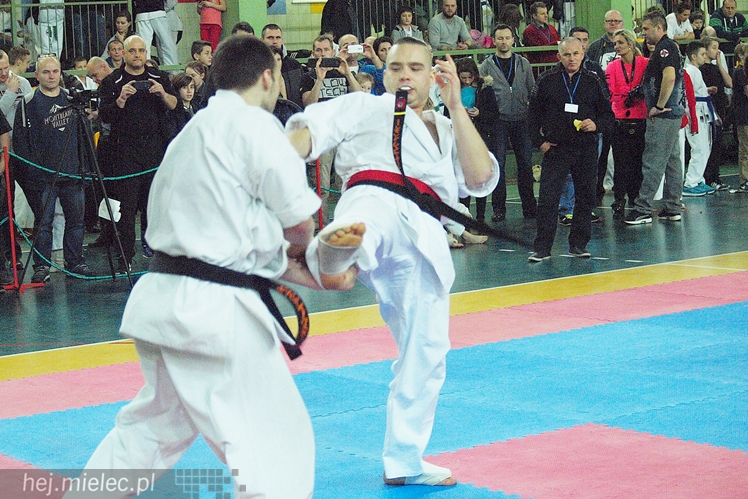 Międzynarodowa obsada mistrzostw karate full-contact