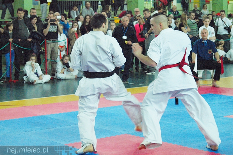 Międzynarodowa obsada mistrzostw karate full-contact