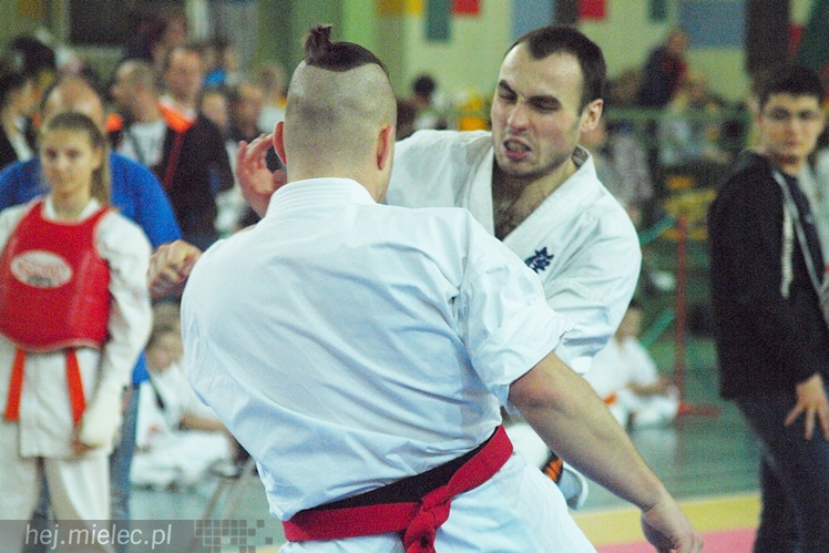 Międzynarodowa obsada mistrzostw karate full-contact