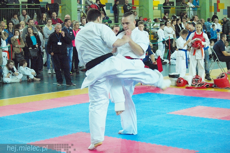 Międzynarodowa obsada mistrzostw karate full-contact