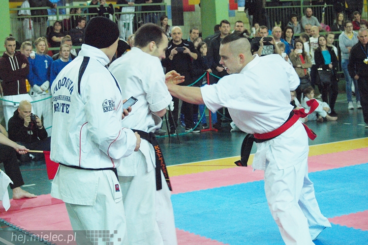 Międzynarodowa obsada mistrzostw karate full-contact