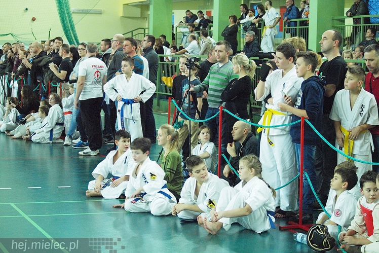 Międzynarodowa obsada mistrzostw karate full-contact