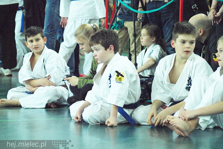 Międzynarodowa obsada mistrzostw karate full-contact