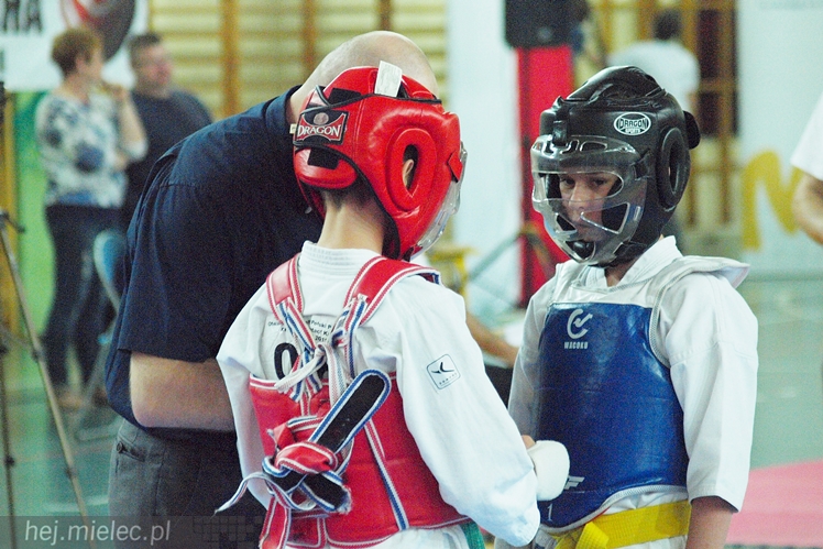 Międzynarodowa obsada mistrzostw karate full-contact
