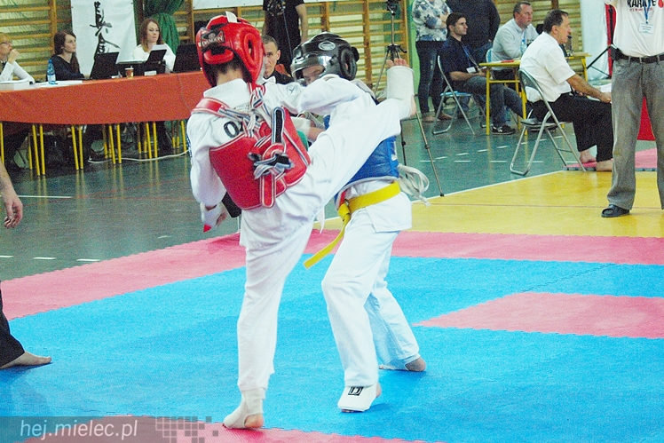Międzynarodowa obsada mistrzostw karate full-contact
