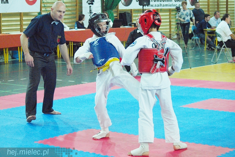 Międzynarodowa obsada mistrzostw karate full-contact