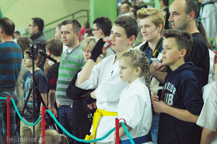 Międzynarodowa obsada mistrzostw karate full-contact