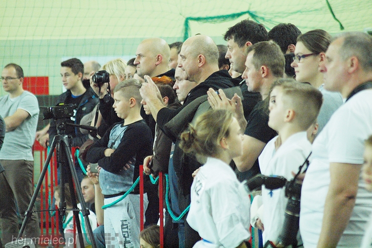 Międzynarodowa obsada mistrzostw karate full-contact
