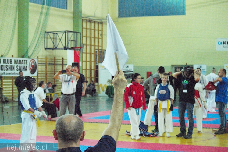 Międzynarodowa obsada mistrzostw karate full-contact