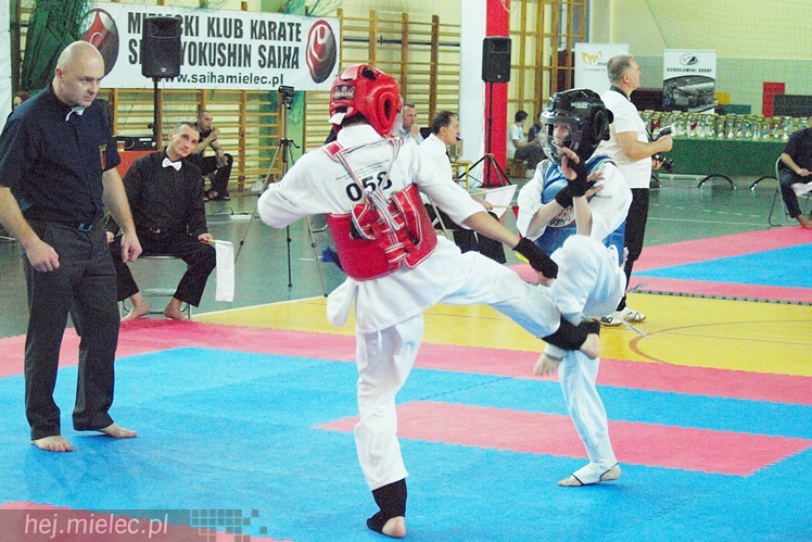 Międzynarodowa obsada mistrzostw karate full-contact