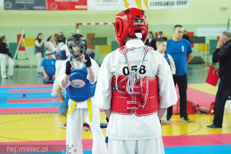 Międzynarodowa obsada mistrzostw karate full-contact