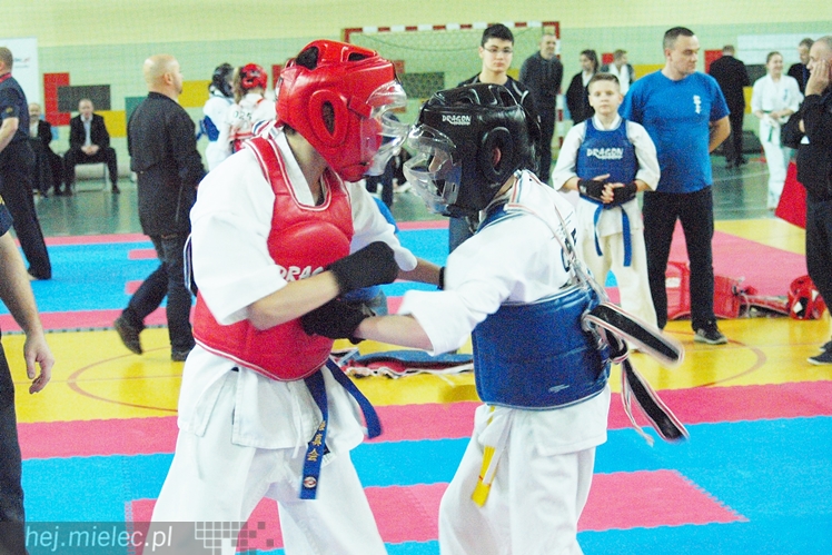 Międzynarodowa obsada mistrzostw karate full-contact