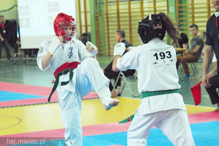 Międzynarodowa obsada mistrzostw karate full-contact
