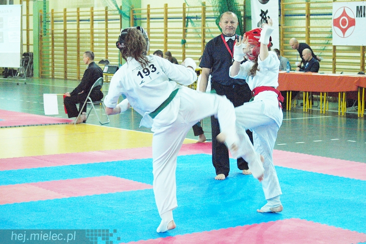 Międzynarodowa obsada mistrzostw karate full-contact