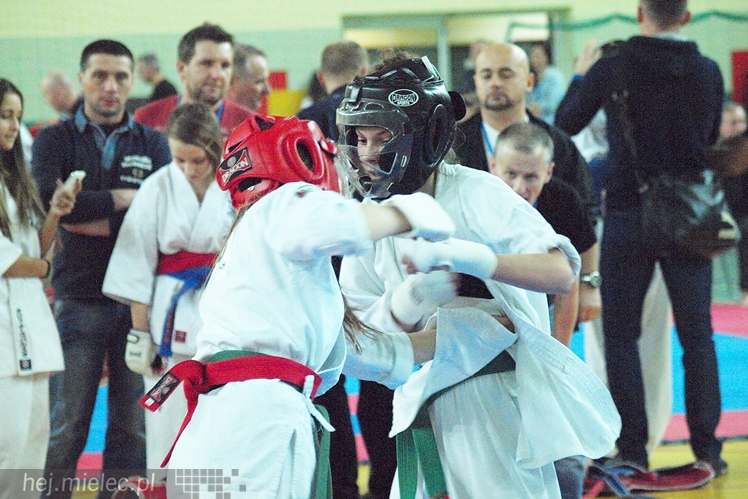 Międzynarodowa obsada mistrzostw karate full-contact
