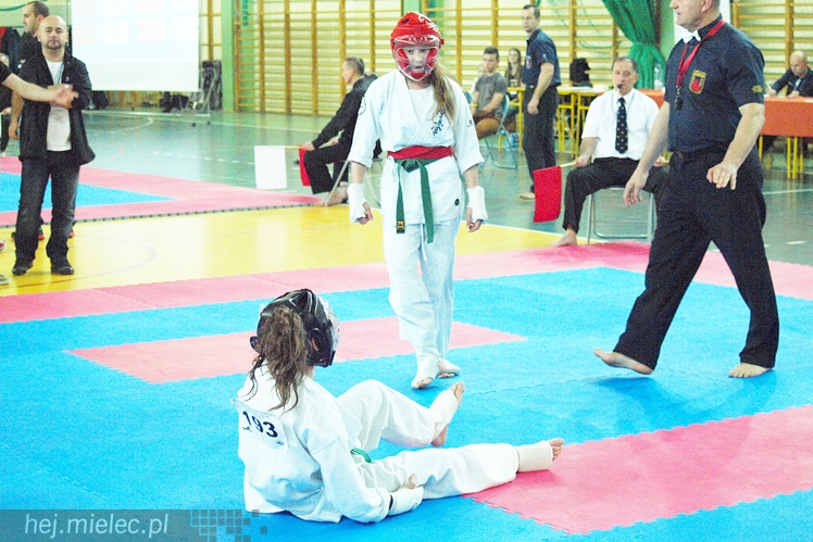 Międzynarodowa obsada mistrzostw karate full-contact