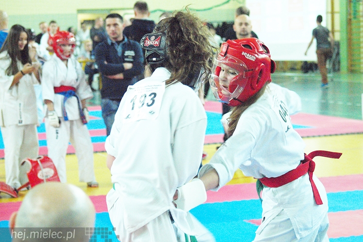 Międzynarodowa obsada mistrzostw karate full-contact