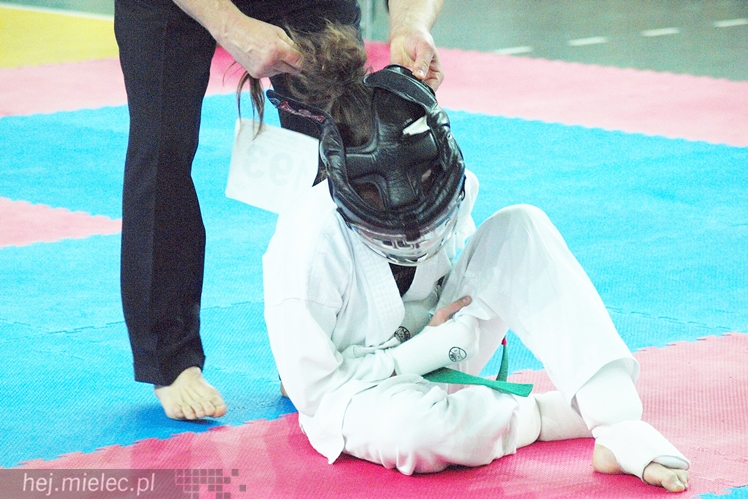 Międzynarodowa obsada mistrzostw karate full-contact