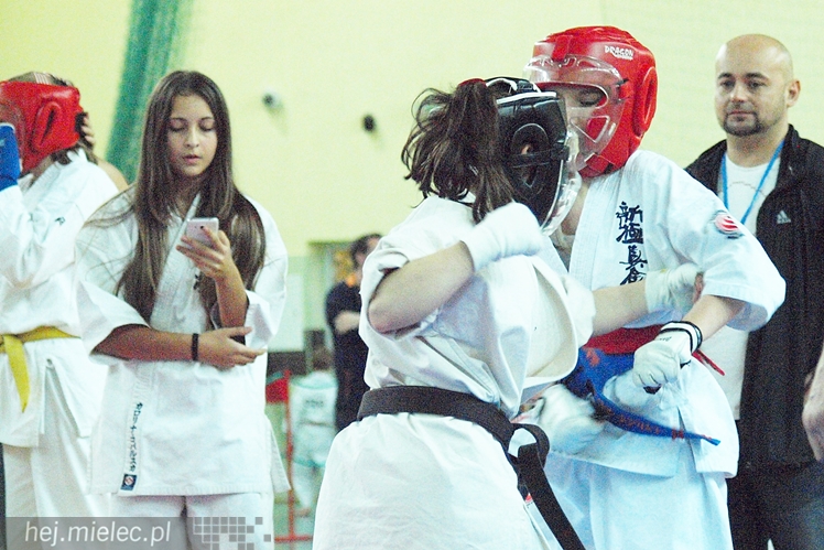 Międzynarodowa obsada mistrzostw karate full-contact