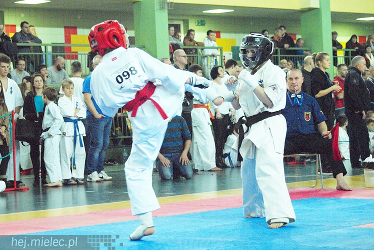 Międzynarodowa obsada mistrzostw karate full-contact