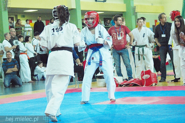 Międzynarodowa obsada mistrzostw karate full-contact