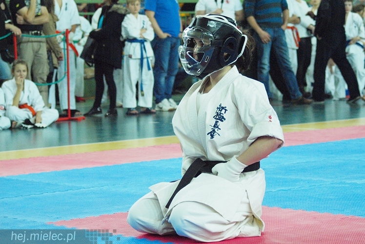Międzynarodowa obsada mistrzostw karate full-contact