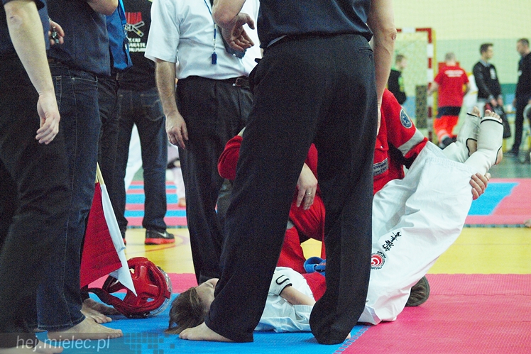 Międzynarodowa obsada mistrzostw karate full-contact