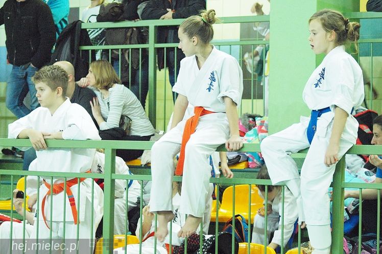 Międzynarodowa obsada mistrzostw karate full-contact