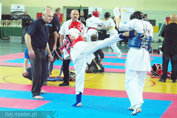 Międzynarodowa obsada mistrzostw karate full-contact